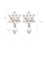 thumb Alloy With Platinum Plated Simplistic Snowflake Drop Earrings 3
