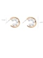 thumb Alloy With Rose Gold Plated Simplistic Irregular Stud Earrings 1