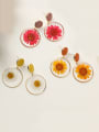 thumb Alloy With Imitation Gold Plated Simplistic Transparent PVC  Dried Flowers  Drop Earrings 1
