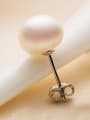 thumb Simple Oblate Freshwater Pearl stud Earring 2