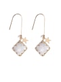 thumb Alloy With Rose Gold Plated Simplistic Geometric Tassel Hook Earrings 0