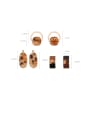 thumb Alloy With Rose Gold Plated Punk Geometric Leopard Stud Earrings 4