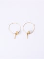 thumb Titanium With Gold Plated Simplistic Round  Pendant  Hoop Earrings 4
