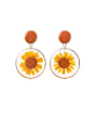 thumb Alloy With Imitation Gold Plated Simplistic Transparent PVC  Dried Flowers  Drop Earrings 0