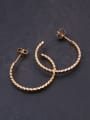 thumb Titanium With Rose Gold Plated Simplistic  Irregular Polygon  Hoop Earrings 1