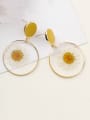 thumb Alloy With Imitation Gold Plated Simplistic Transparent PVC  Dried Flowers  Drop Earrings 2
