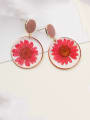 thumb Alloy With Imitation Gold Plated Simplistic Transparent PVC  Dried Flowers  Drop Earrings 3