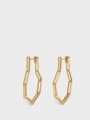 thumb Titanium With Gold Plated Simplistic Fringe Drop Earrings 4