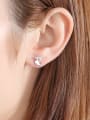 thumb 925 Sterling Silver With Cubic Zirconia  Cartoon dolphin Stud Earrings 1