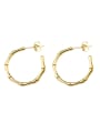 thumb Titanium 316L Stainless Steel Round Vintage Hoop Earring with e-coated waterproof 2