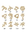 thumb Brass Cubic Zirconia Gold Zodiac Pendant 1