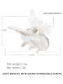 thumb Cellulose Acetate Cute Butterfly Jaw Hair Claw 2