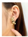 thumb Brass Yellow Stone Animal Classic Stud Earring 2