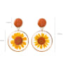 thumb Alloy With Imitation Gold Plated Simplistic Transparent PVC  Dried Flowers  Drop Earrings 4