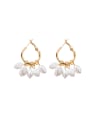 thumb Alloy With Gold Plated Fashion  Imitation Pearl Charm Earrings 1