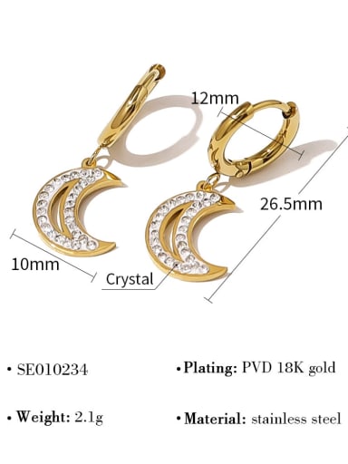 SE010234 Titanium Steel Cubic Zirconia Moon Luxury Stud Earring