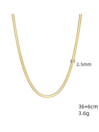 SN22020901-2.5mm Snake bone chain gold cold wind personality clavicle titanium steel necklace