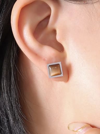 F097 coffee Steel Earrings Titanium Steel Tiger Eye Geometric Minimalist Stud Earring