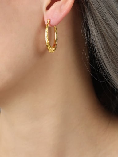 F1245 Gold Earrings Titanium Steel Geometric Trend Hoop Earring