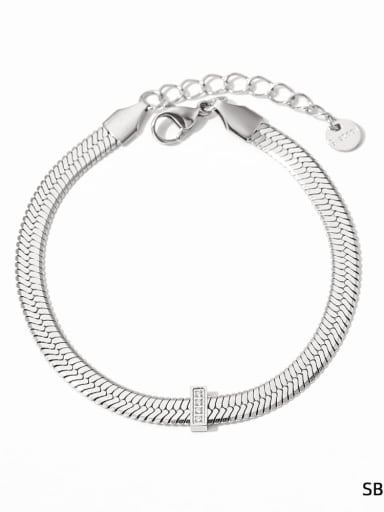 Stainless steel Snake Bone Chain Minimalist Link Bracelet