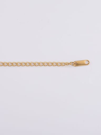 golden Stainless steel extension chain/tail chain with long tag and long tail chain