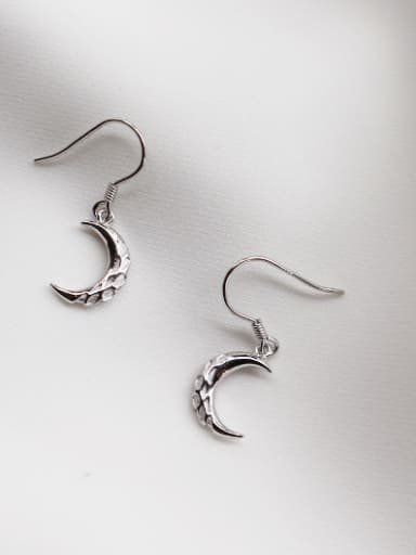 The new 925 silver  Drop drop Earring with Silver