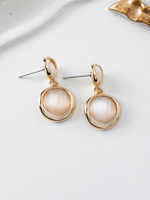 Main plan section Alloy With Rose Gold Plated Simplistic Round Drop Earrings
