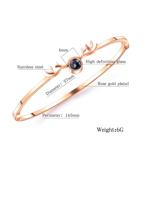 Open Sky Stainless Steel With Rose Gold Plated Simplistic Irregular Bangles 3