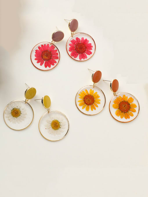 Girlhood Alloy With Imitation Gold Plated Simplistic Transparent PVC  Dried Flowers  Drop Earrings 1