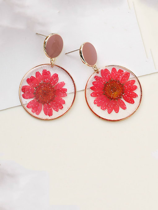 Girlhood Alloy With Imitation Gold Plated Simplistic Transparent PVC  Dried Flowers  Drop Earrings 3