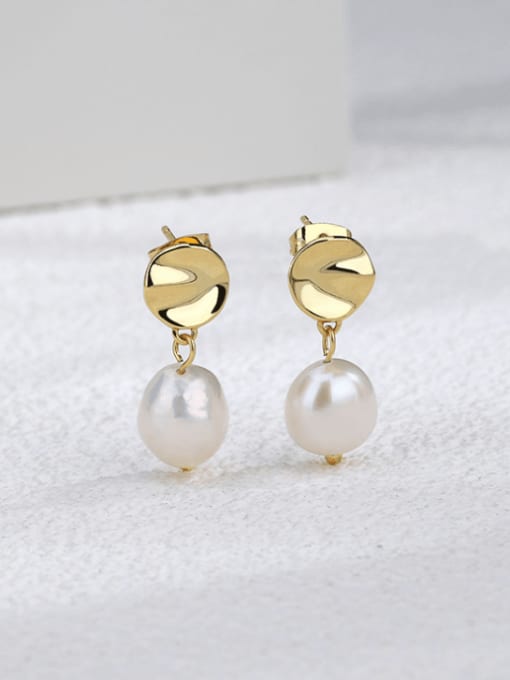 Golden Freshwater Pearl Earrings Brass Imitation Pearl Geometric Minimalist Drop Earring