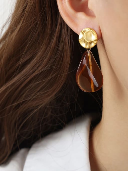 F178 Gold Round Brown Red Earrings Titanium Steel Resin Geometric Trend Stud Earring