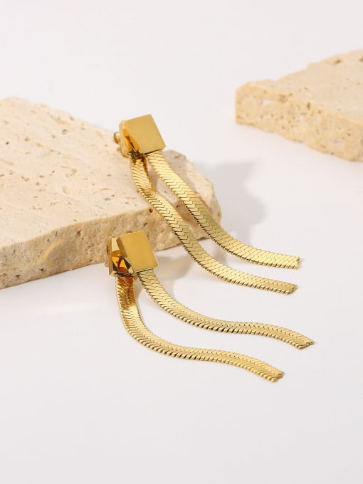 J&D Stainless steel Snake Bone Chain Tassel Vintage Drop Earring 2