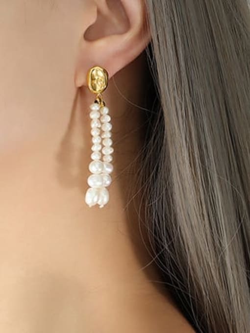 F206 Gold Earrings Titanium Steel Freshwater Pearl Geometric Hip Hop Drop Earring
