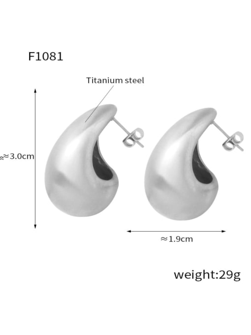 F1081,Steel Matte Earrings Titanium Steel Drop Metal Earring with 6 styles