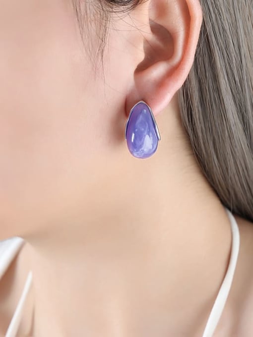 F854 紫树脂钢色耳钉 Titanium Steel Resin Geometric Trend Stud Earring