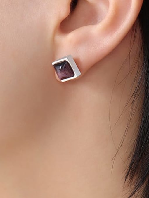 F097 dark purple Steel Earrings Titanium Steel Tiger Eye Geometric Minimalist Stud Earring