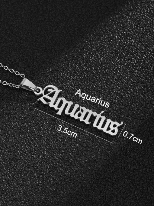 Steel colored Aquarius Stainless steel Constellation Hip Hop Necklace
