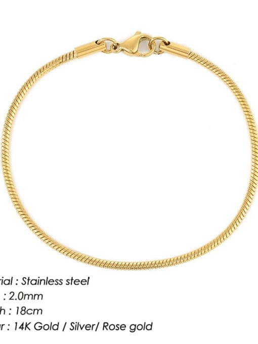 Gold 2mm 18cm Stainless steel Snake Minimalist Link Bracelet