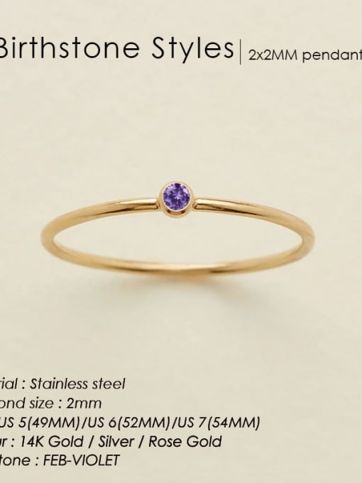 February Violet Gold Stainless steel Birthstone Geometric Minimalist Band Ring