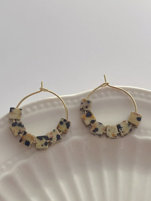 G166 Leopard Print Earrings Zinc Alloy Acrylic Geometric Vintage Hoop Earring