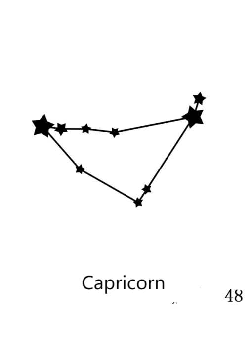 48 Capricorn Stainless steel Constellation Minimalist Geometric  Pendant Necklace