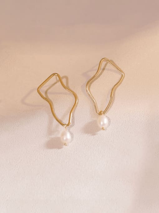 Shallow Gold Freshwater Pearl Brass Imitation Pearl Geometric Minimalist Drop Earring