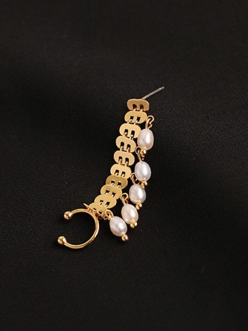 ACCA Brass Imitation Pearl Geometric Artisan Single Earring( Single-Only One) 0